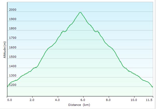 Altitude profile of Mont Fourcat hiking
