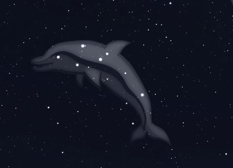 Constellation du dauphin