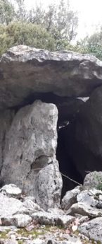 Un HLM de dolmens en Occitanie